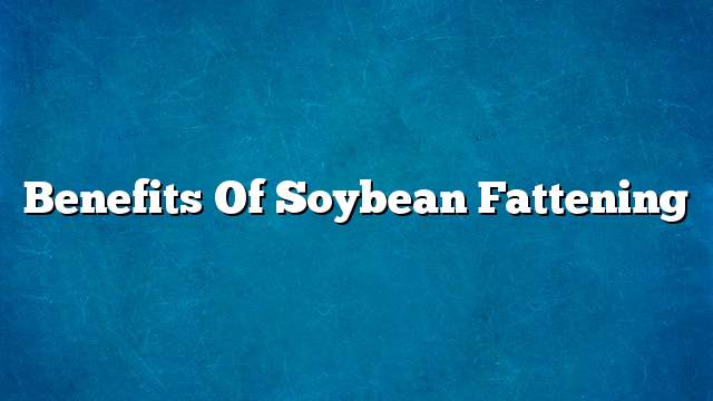 Benefits of soybean fattening
