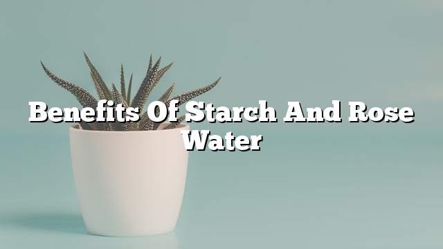 Benefits of starch and rose water