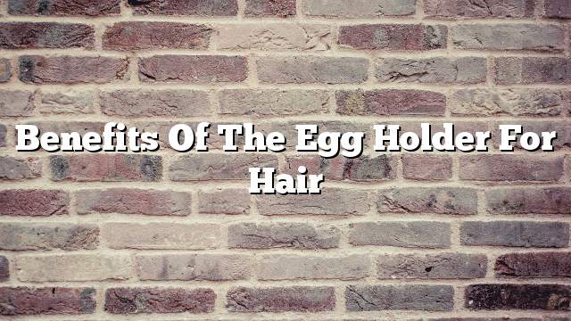 Benefits of the egg holder for hair