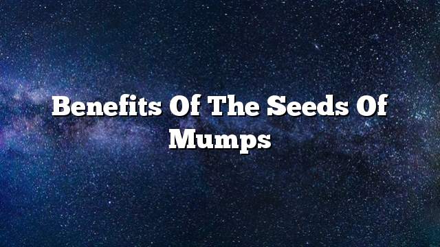 Benefits of the seeds of mumps
