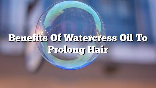 Benefits of watercress oil to prolong hair