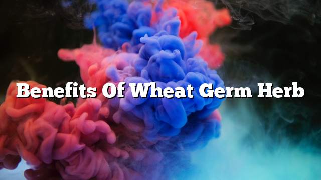 Benefits of wheat germ herb