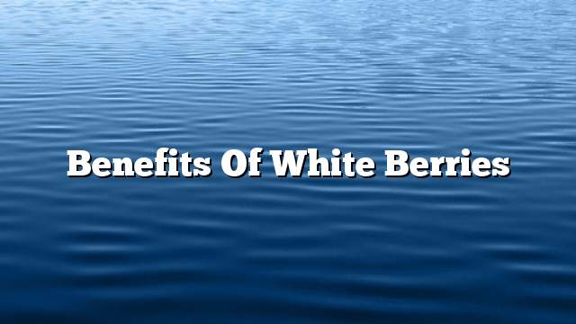 Benefits of white berries