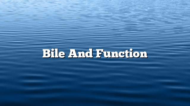 Bile and function