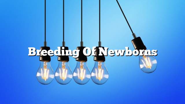 Breeding of newborns