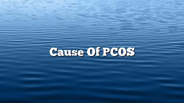 Cause of PCOS