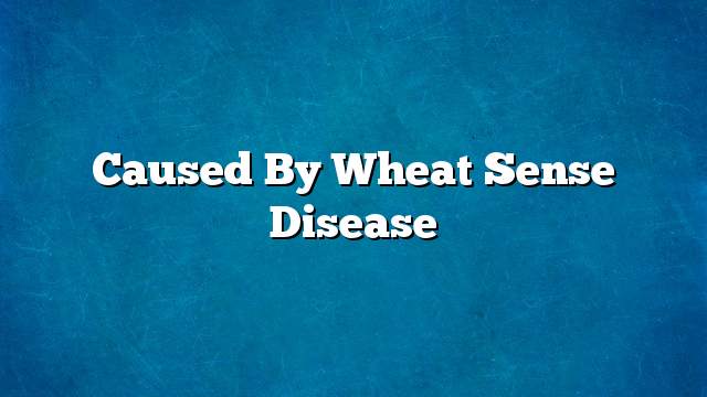 Caused by Wheat Sense Disease