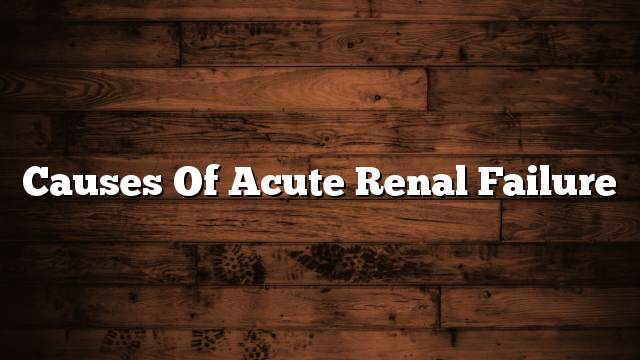 Causes of acute renal failure