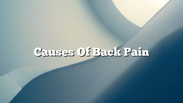 Causes of back pain