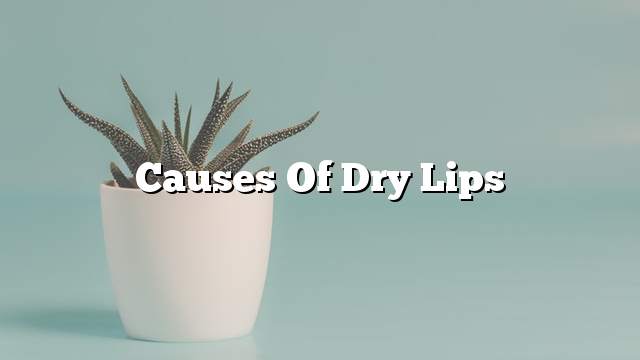 Causes of dry lips