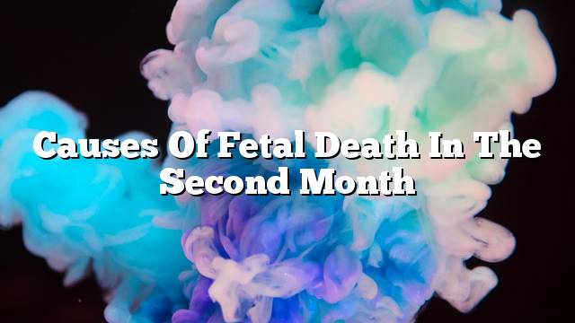 Causes of fetal death in the second month