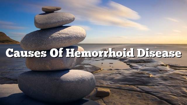 Causes of hemorrhoid disease
