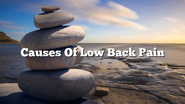 Causes of low back pain