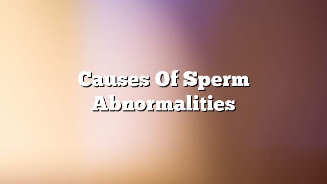 Causes of sperm abnormalities