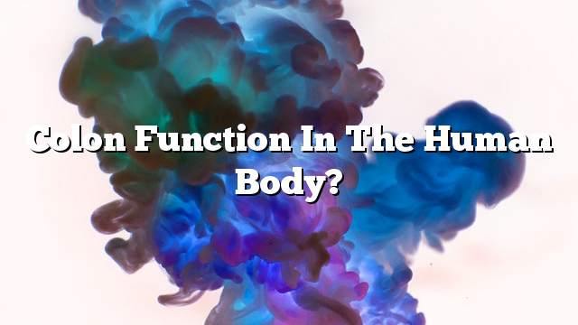 Colon function in the human body?