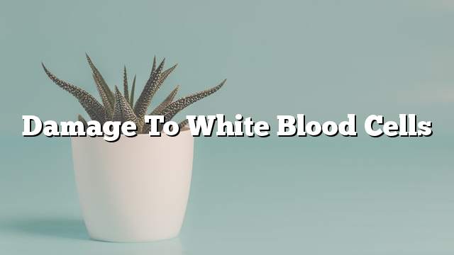 Damage to white blood cells