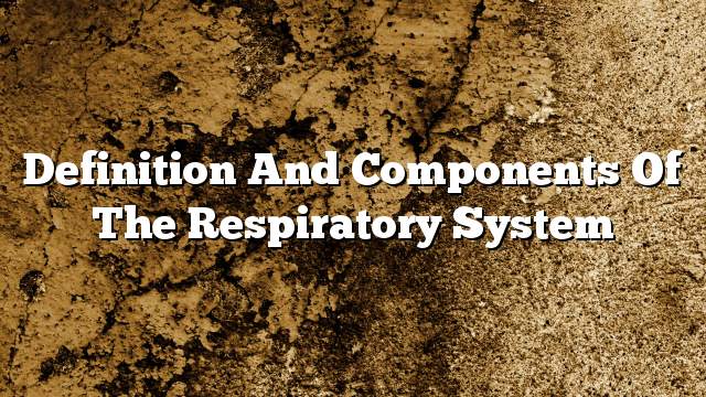 Definition and components of the respiratory system