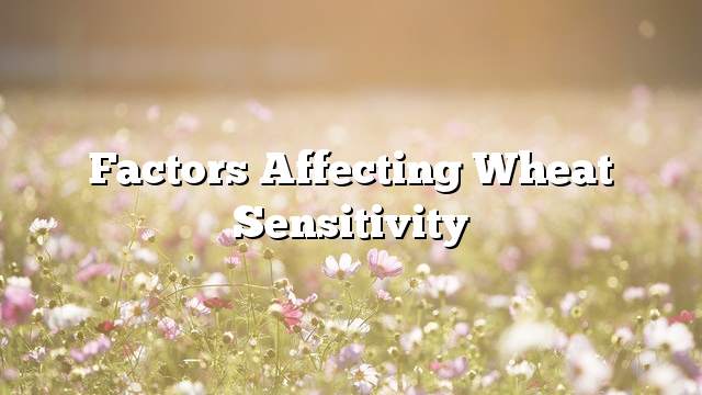 Factors Affecting Wheat Sensitivity