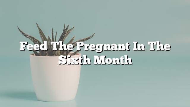 Feed the pregnant in the sixth month