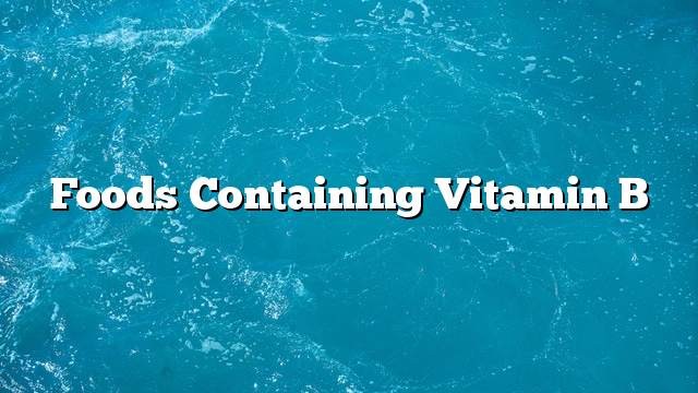 Foods containing vitamin B