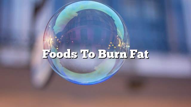 Foods to burn fat