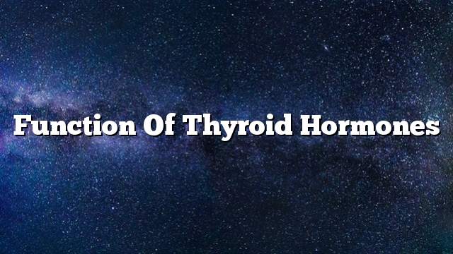 Function of thyroid hormones