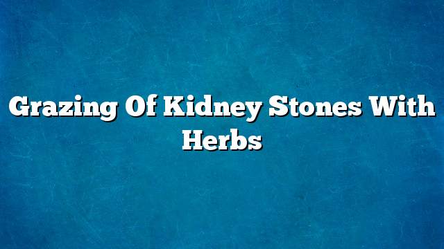 Grazing of kidney stones with herbs