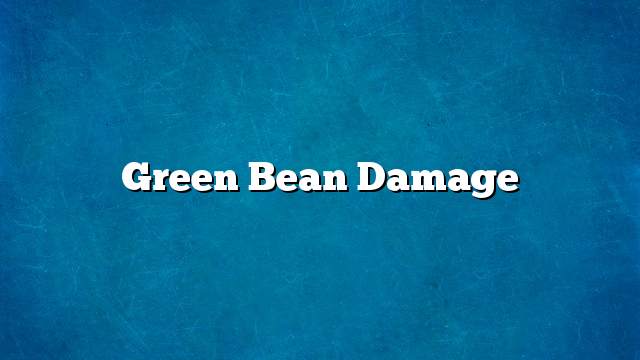 Green bean damage