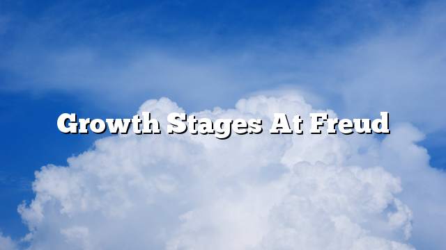 Growth stages at Freud