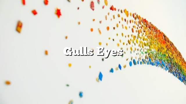 Gulls eyes