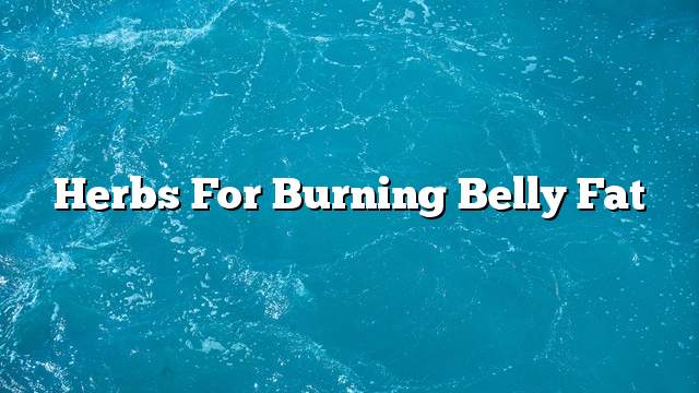 Herbs for burning belly fat
