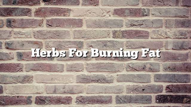 Herbs for burning fat