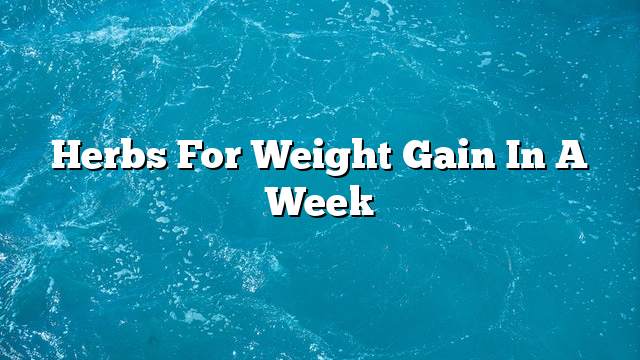 Herbs for weight gain in a week