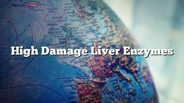 High damage liver enzymes