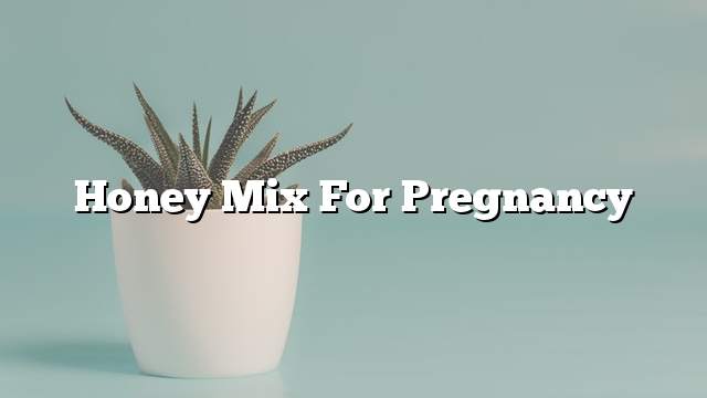 Honey mix for pregnancy