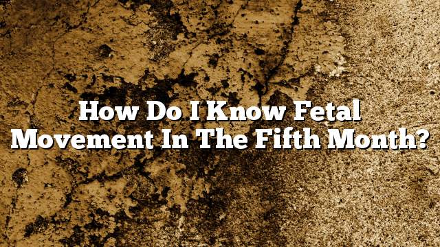 How do I know fetal movement in the fifth month?
