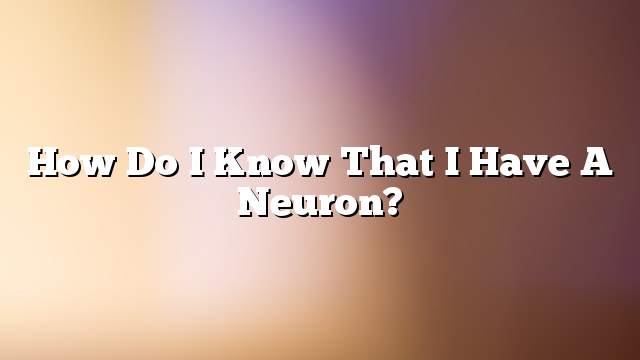 How do I know that I have a neuron?