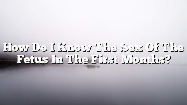 How do I know the sex of the fetus in the first months?