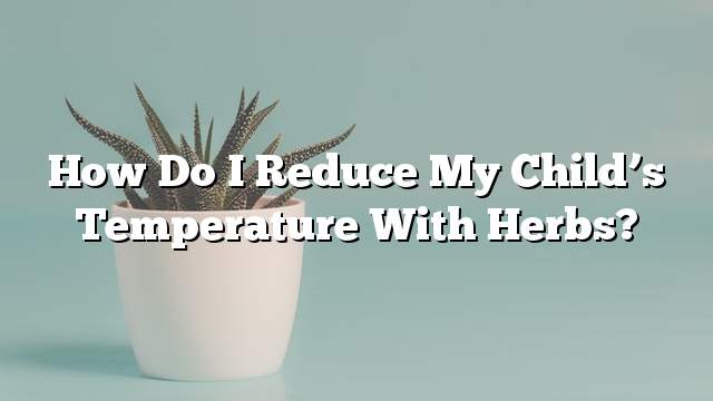 How do I reduce my child’s temperature with herbs?