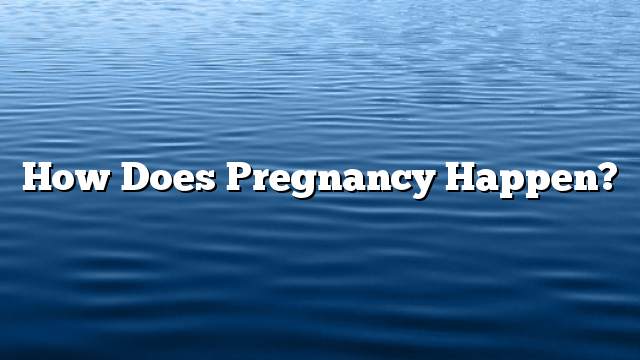 How does pregnancy happen?