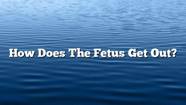 How does the fetus get out?