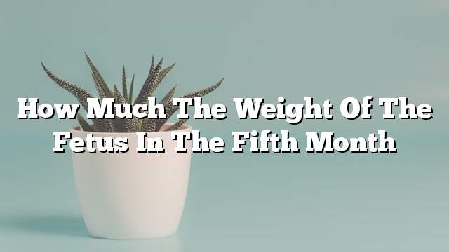 How much the weight of the fetus in the fifth month
