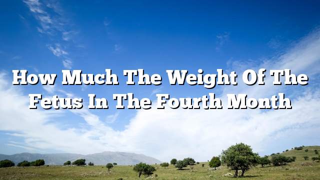 How much the weight of the fetus in the fourth month