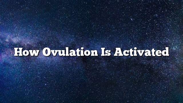 How ovulation is activated