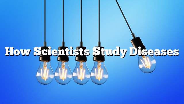 How scientists study diseases