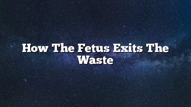 How the fetus exits the waste