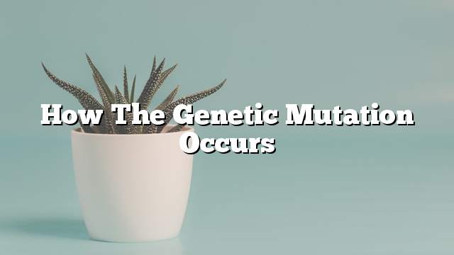 How the genetic mutation occurs