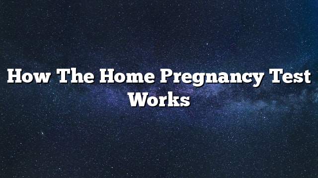 How the home pregnancy test works