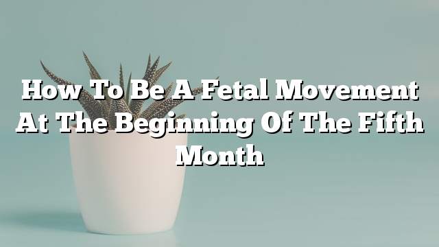 How to be a fetal movement at the beginning of the fifth month