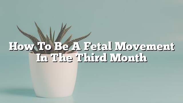 How to be a fetal movement in the third month